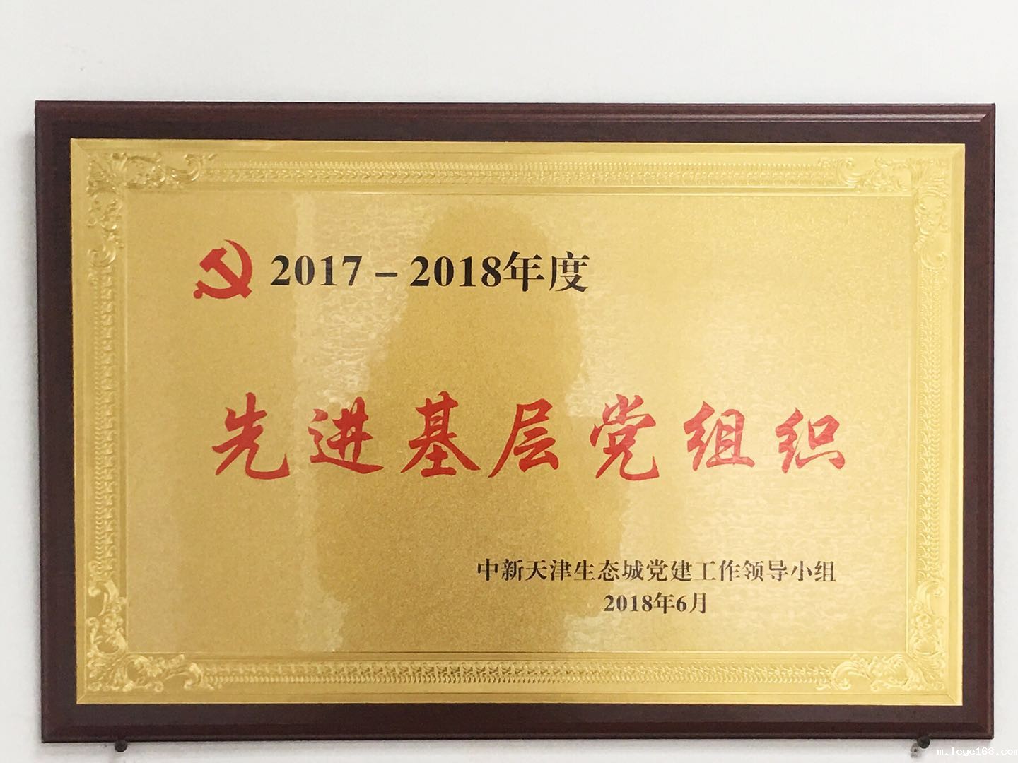 1623736128615612.jpg 39545682665846991.jpg