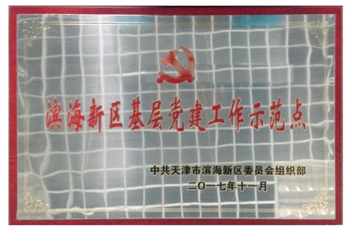 2017年11月滨海新区基层党建工作示范点